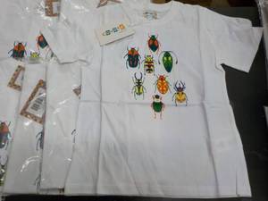 T-shirts Coyote and Co 6 size 6, 6...