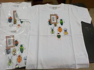 T-shirts Coyote and Co 6 size 7, 6...