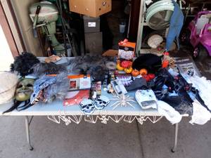lot 205 image: Any Day is Halloween Halloween Costumes & Decorations