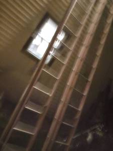 lot 309 image: 25 Ladder