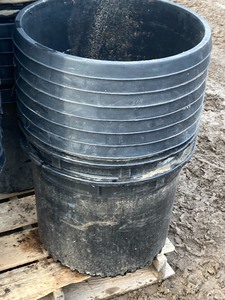 lot 16 image: Pallet Lot Of Assorted Tree  Plant Pots