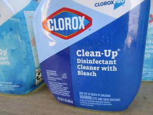 Clorox Clean-Up Disinfectant
