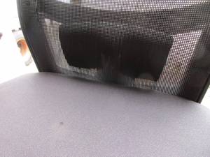 Mesh Back Office Chair