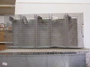 (2) Muskrat Cages See Photos...
