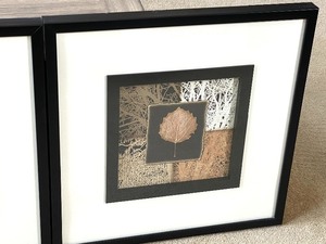 Three Framed MatchingCoordinating Prints