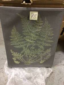 Botanical Drawing Green Black Design by Lettered and Lined Canvas Abstract Wall Art 30 in. x 24 in. Customer Returns See Pictures