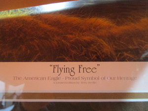 Terry Redlin Flying Free (Artists Proof) Signed & Numbered  #6851450 (19) Image Size 18 12x32 Frame Size 30x43