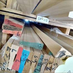 lot 12 image: 2 916 x 1116 Poplar Casing (SC38D)