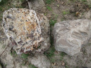 Landscape Rocks