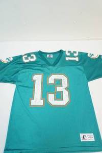 Dolphins jersey