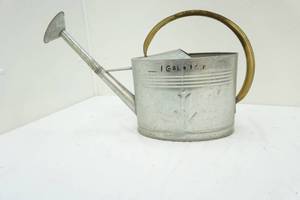 Galvanized water can