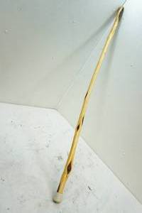 Walking stick
