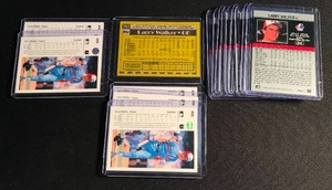 lot 47 image: lot of 17 Larry Walker Cards ( Including Rookies )