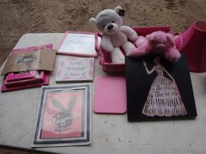 lot 25 image: More Pink Stuff
