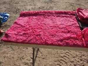 lot 54 image: Pink Room Decor Misc