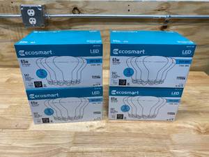 ECOSMART Lot of 4 Boxes of-  65-Watt Equivalent BR30 Dimmable LED Light Bulb, Daylight (6 bulbs per box)