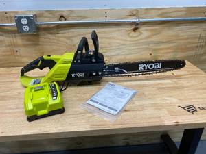 18 in. HP 40V Brushless Lithium-Ion Electric Cordless Battery Chainsaw (charger included)