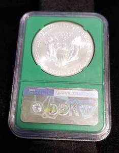 2014 AMERICAN SILVER EAGLE MS69 NGC GREEN SLAB