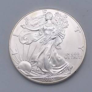2002 American Silver Eagle Bullion
