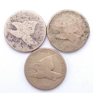 3 Flying Eagle Cents - all 1858