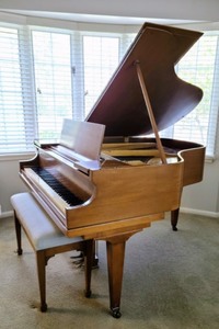 Amazing Foster and Co. Baby Grand Piano
