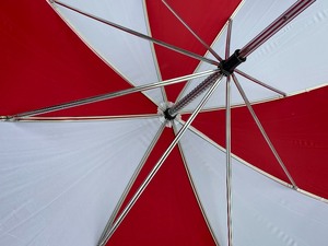 lot 186 image: Fine Umbrella