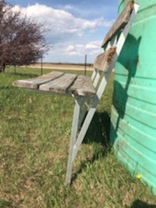 Bench from dock