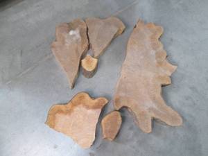 lot 137 image: Super Cool Wood Slabs Rough cut fro...