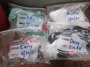 lot 171 image: Lot of 4 Collectible Ty Beanie Babi...