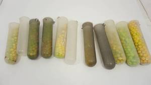 lot 44 image: Containers Of Gun Paint Ball