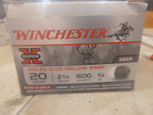 Winchester Super X Rifled Slug Hollow Point