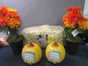 Fall Dcor...