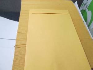 500 ct Quality Park 6x9 inch Envelo...