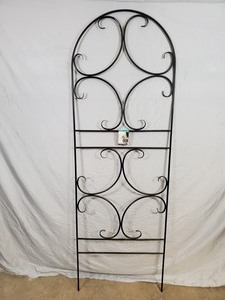 lot 29E image: New Panacea Scroll Trellis
