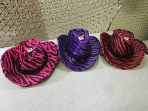 (RMDR) 3 Novelty Hats...