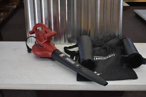 Electric BlowerVac