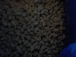 40 lb. Box Pork Sausage Crumbles...