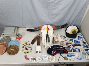 lot 97 image: Skull, Collectibles, Neat Stuff