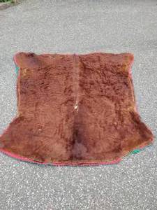 Animal Rug