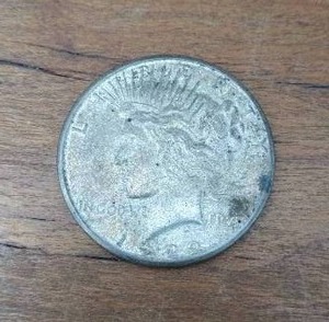 Peace Dollar Coin