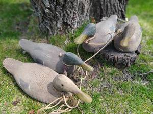 Four Decoy Ducks