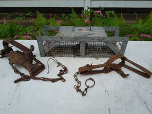 Animal Traps
