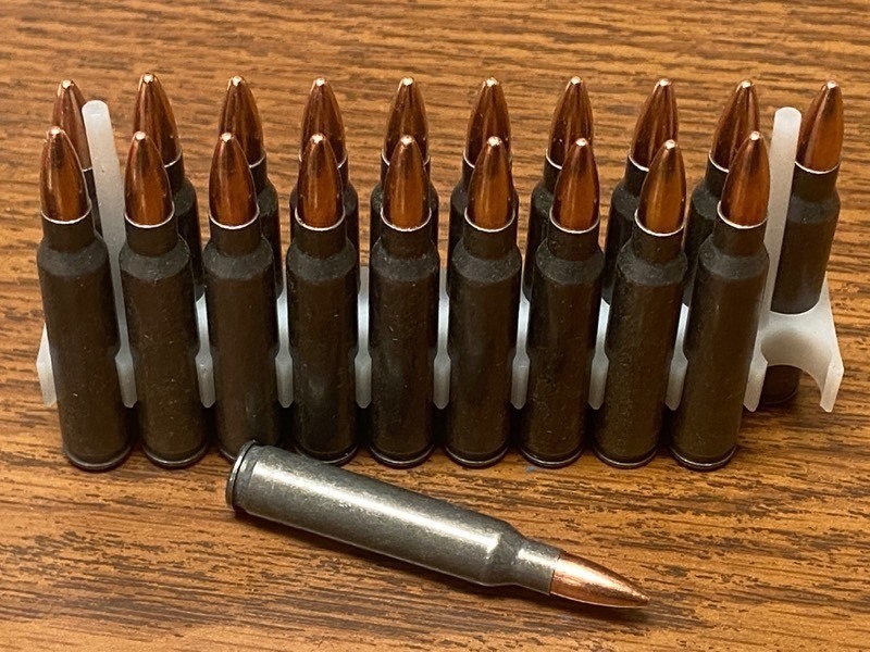 (20) Rounds .223-Rem