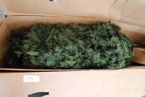 lot 115 image: New 7.5  lighted Christmas Tree