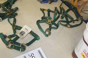 lot 593 image: Lot of (3) Coastal Pet Accent Halters Nylon Pony Halter Green (new)