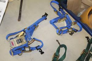 lot 591 image: Lot of (2) Coastal Pet Accent Halters Nylon Suckling Halter Blue (new)