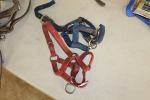 lot 590 image: Lot of (2) Nylon Mini Foal Halter