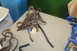 lot 589 image: Lot of (2) Leather Double Crown Foal Halter