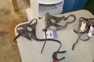 lot 588 image: Lot of (2) Leather Double Crown Foal Halter