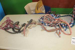 lot 598 image: Lot of Lead Ropes (in bucket)